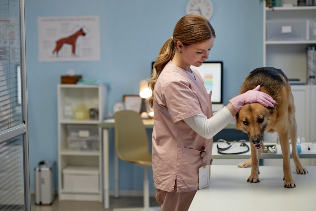 Imagen de Veterinaria y perro