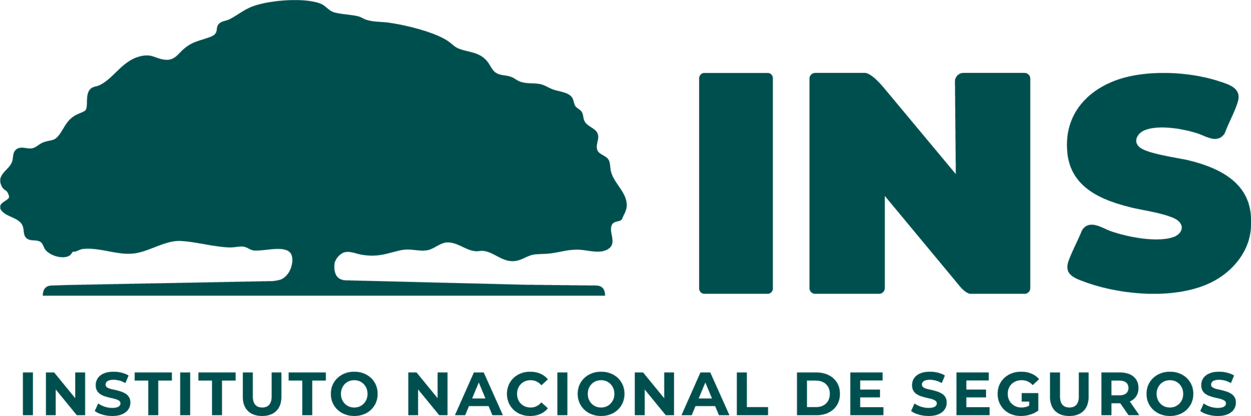 INSTITUTO NACIONAL DE SEGUROS